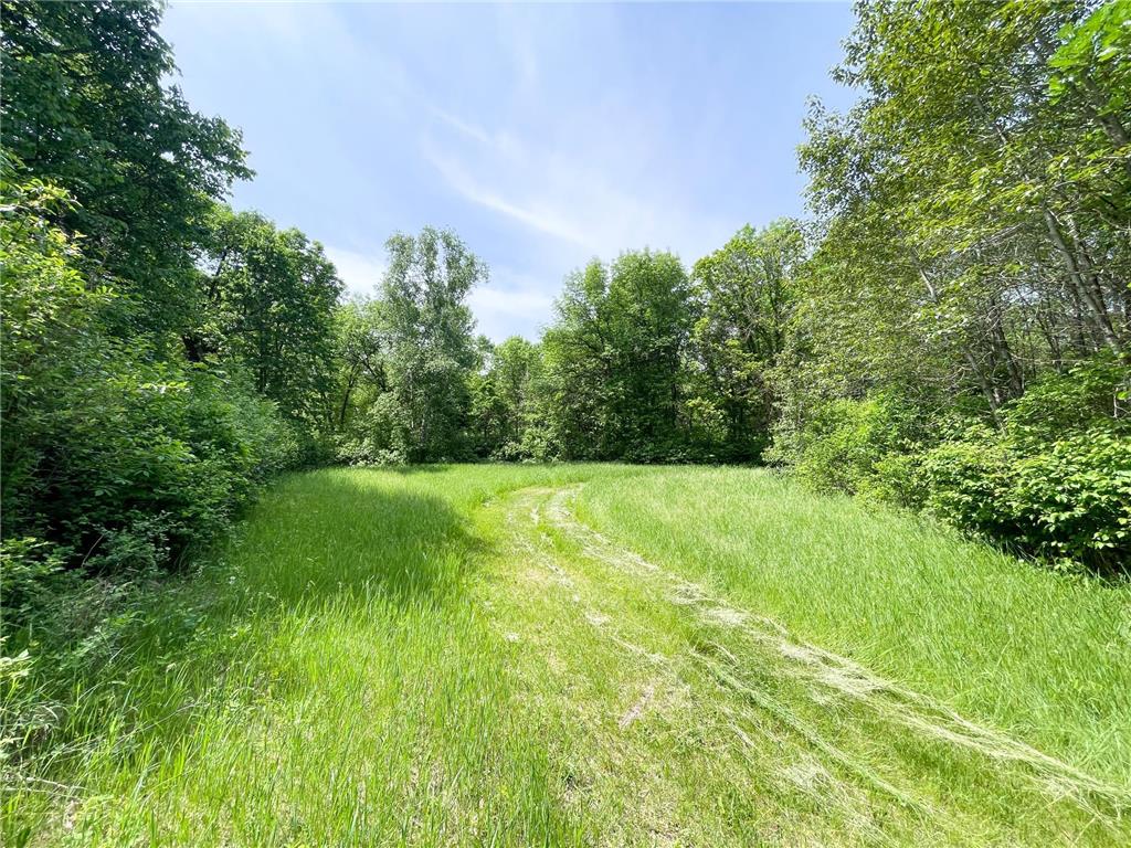 39309 350th Street SE Queen Twp MN 56542 6737750 image78