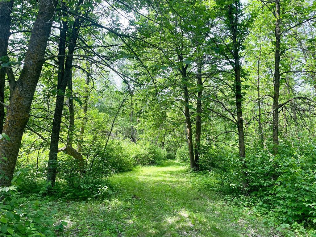 39309 350th Street SE Queen Twp MN 56542 6737750 image79