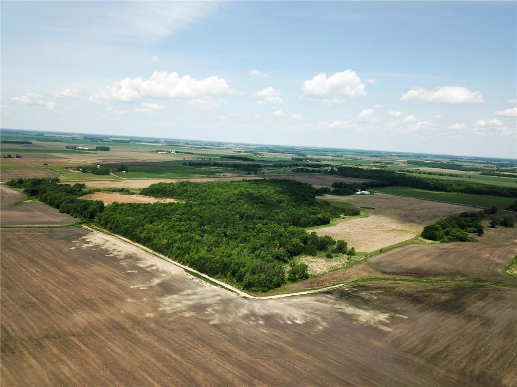 39309 350th Street SE Queen Twp MN 56542 6737750 image8