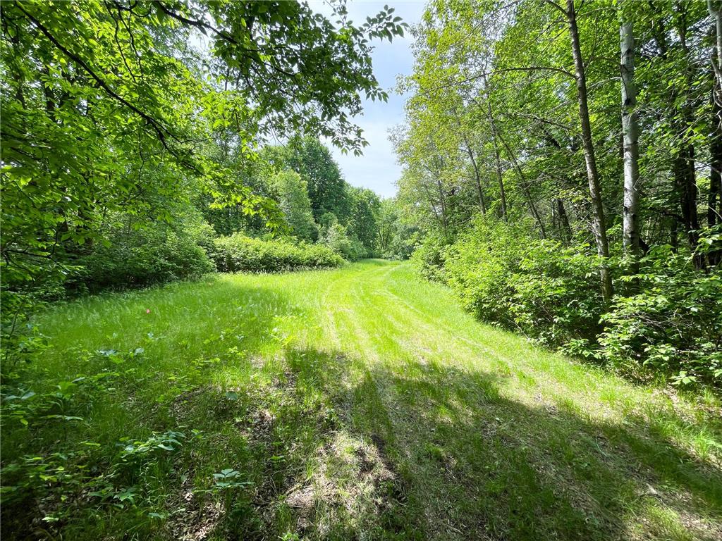 39309 350th Street SE Queen Twp MN 56542 6737750 image80