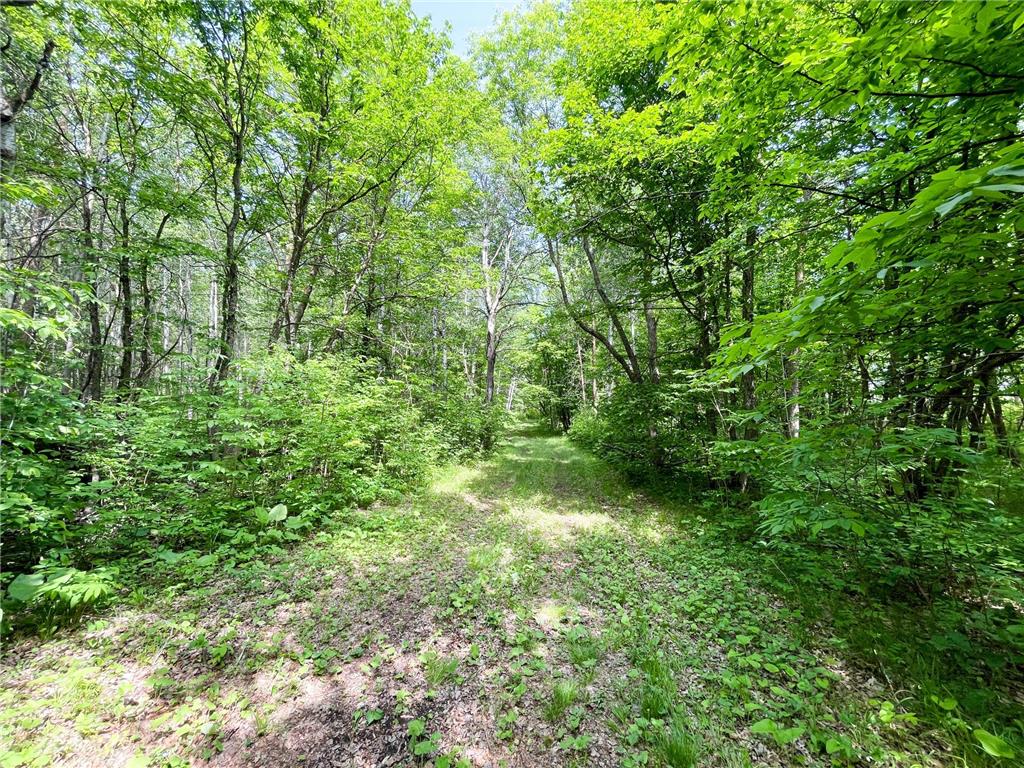 39309 350th Street SE Queen Twp MN 56542 6737750 image81