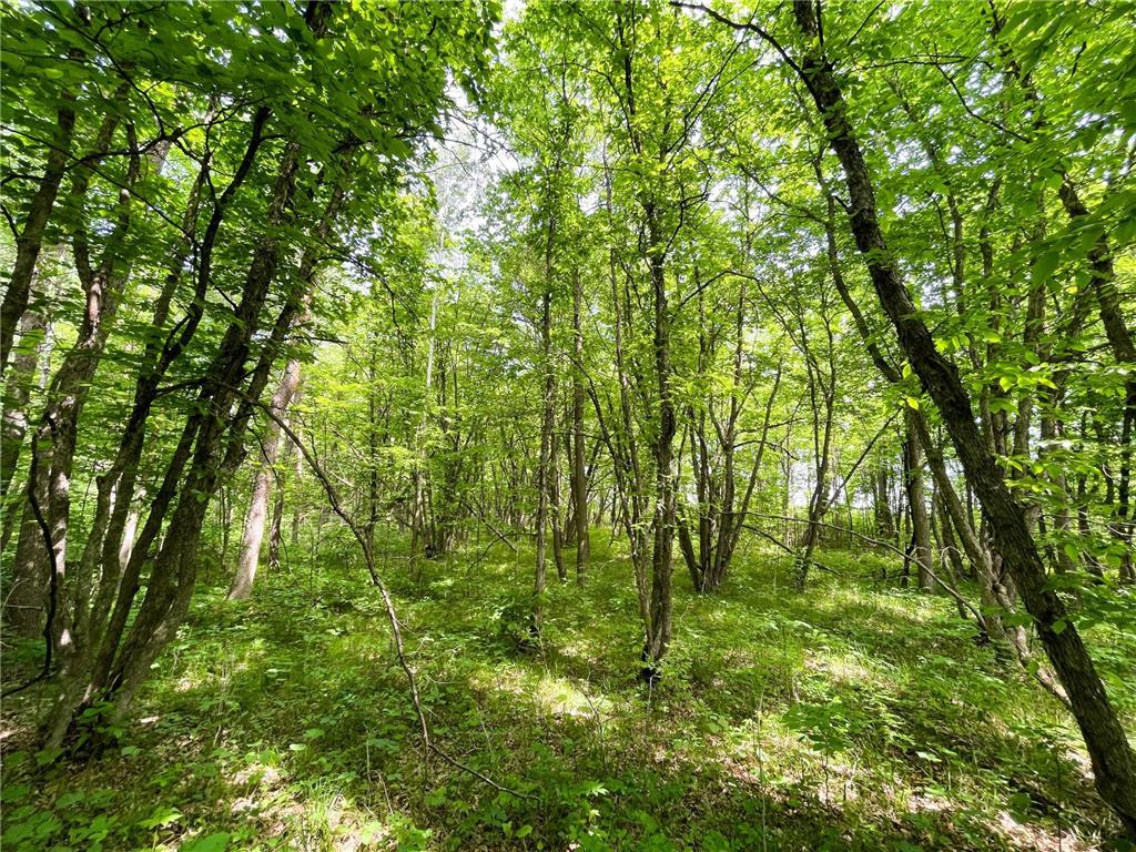 39309 350th Street SE Queen Twp MN 56542 6737750 image82