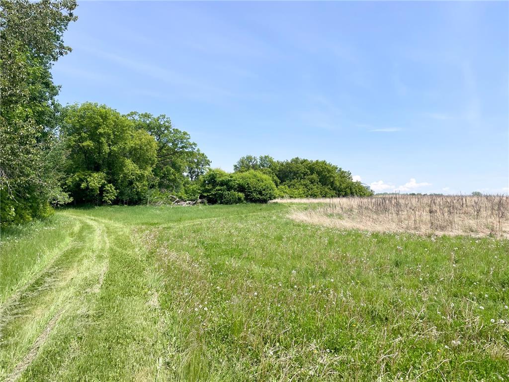 39309 350th Street SE Queen Twp MN 56542 6737750 image83