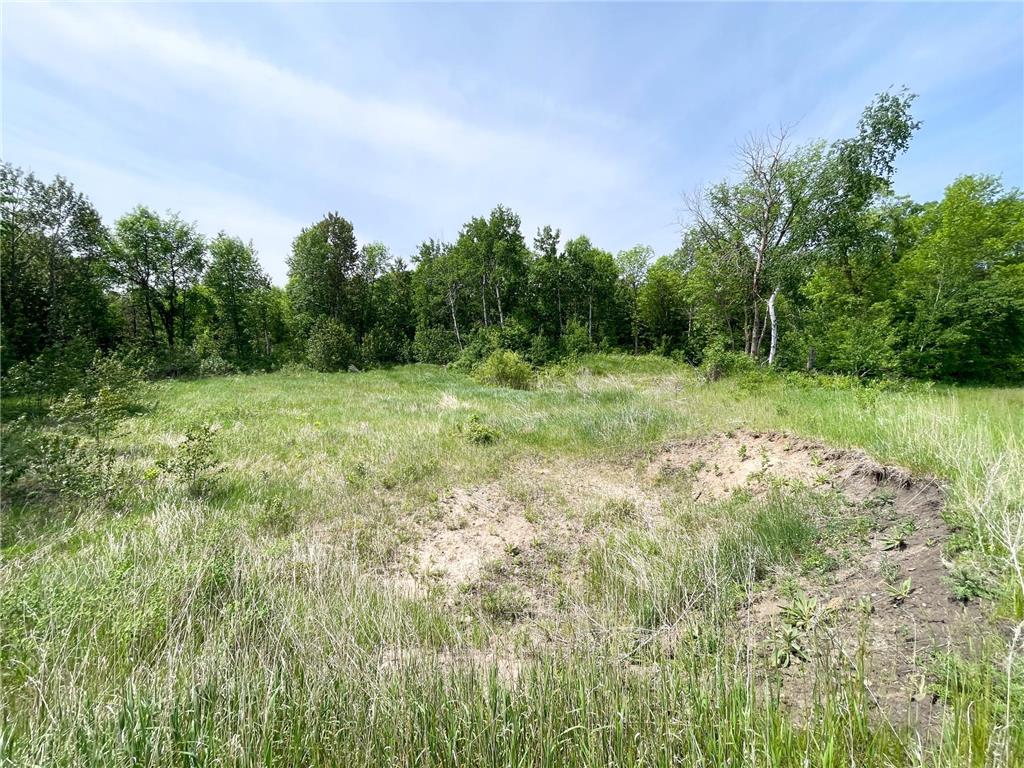 39309 350th Street SE Queen Twp MN 56542 6737750 image85