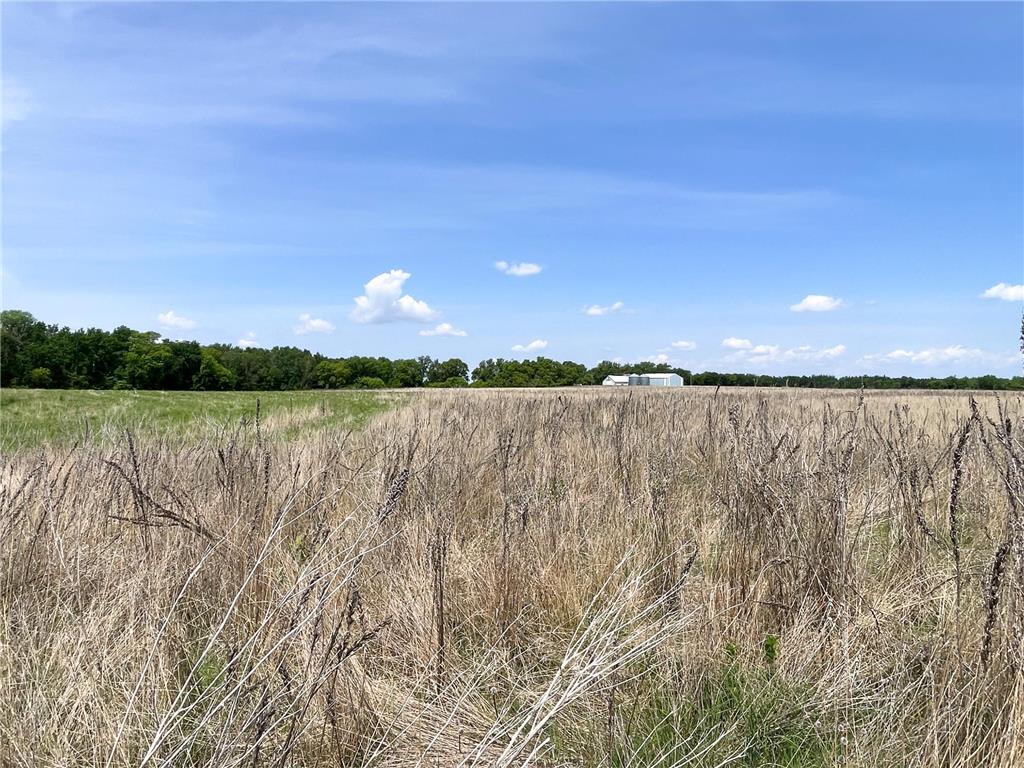 39309 350th Street SE Queen Twp MN 56542 6737750 image87