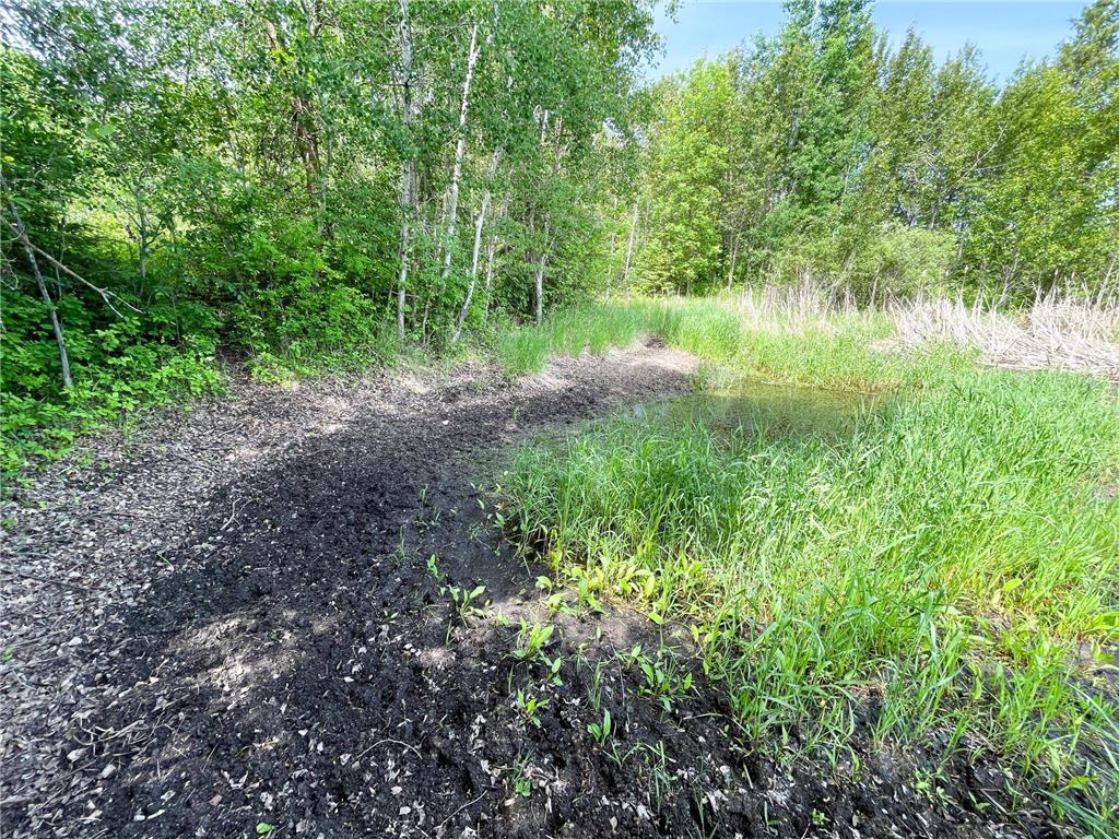 39309 350th Street SE Queen Twp MN 56542 6737750 image88