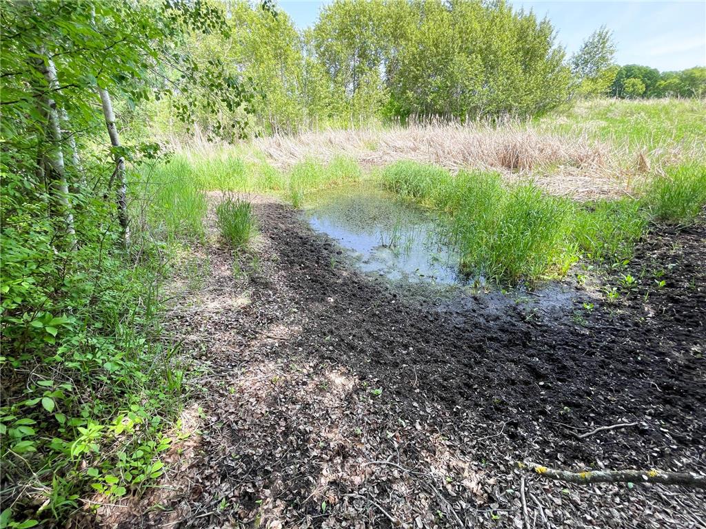 39309 350th Street SE Queen Twp MN 56542 6737750 image89