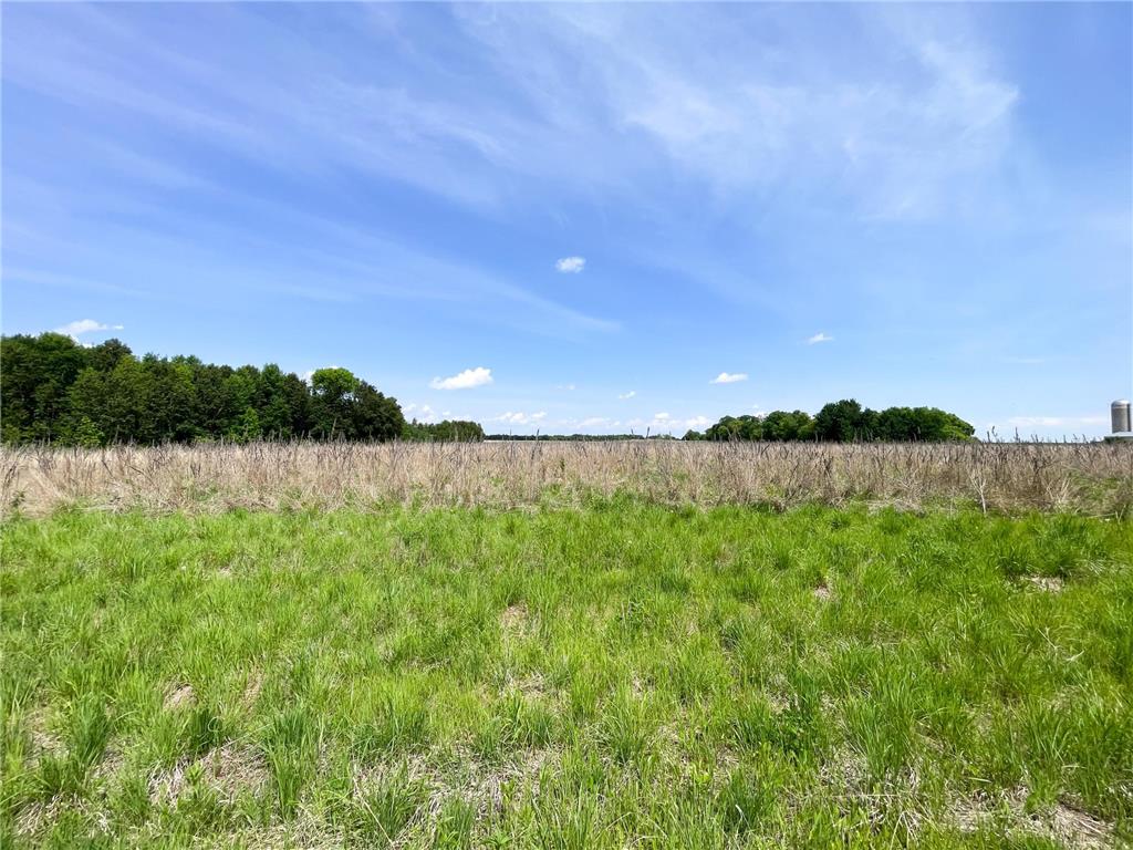 39309 350th Street SE Queen Twp MN 56542 6737750 image90