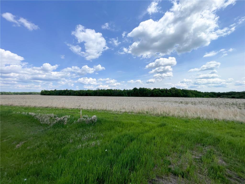 39309 350th Street SE Queen Twp MN 56542 6737750 image91