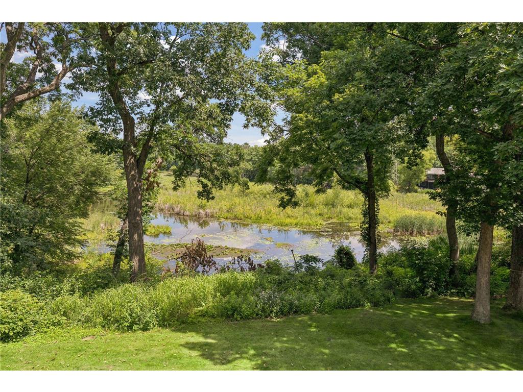 3931 Huntingdon Drive Minnetonka MN 55305 7077294 image6