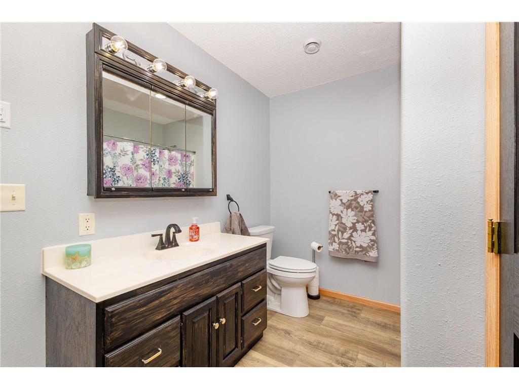 39314 Wild Rose Court Sauk Centre MN 56378 7020824 image17