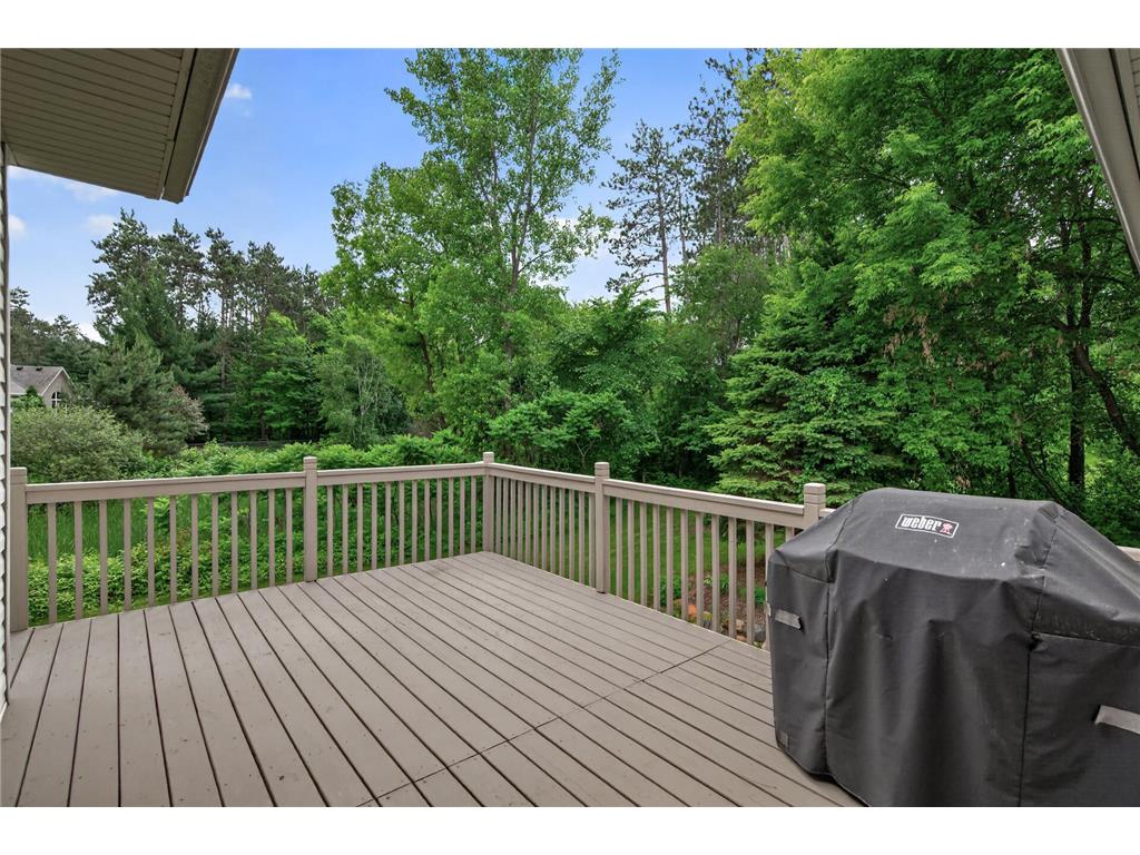 3932 162nd Lane NE Ham Lake MN 55304 7093556 image47