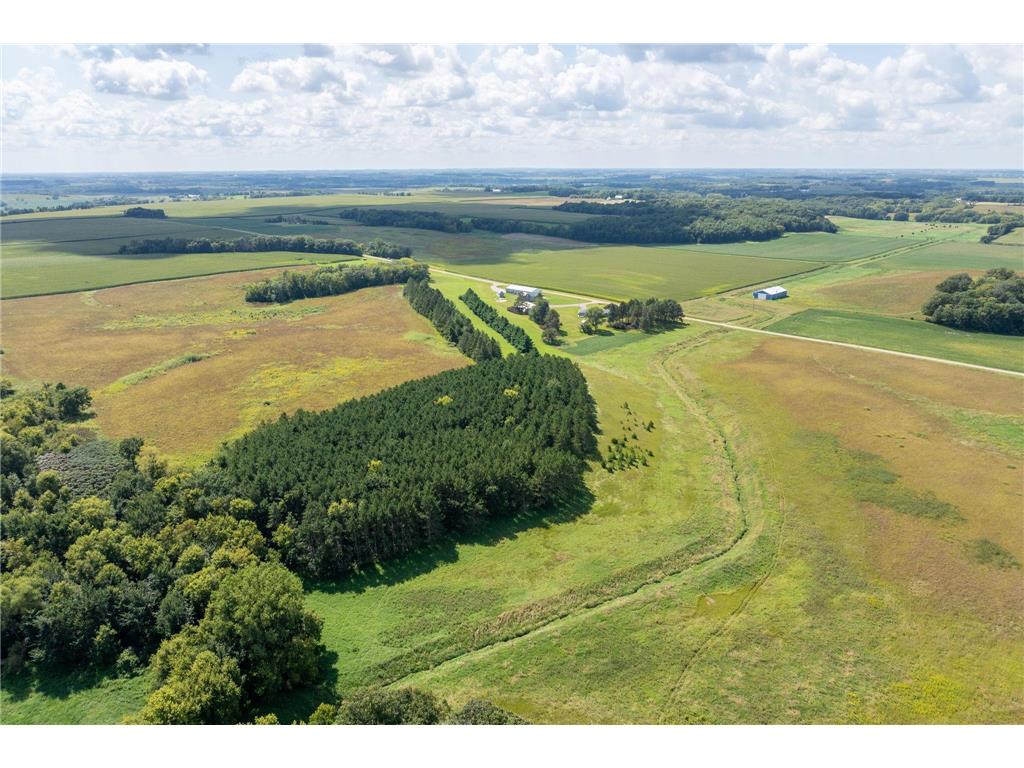 39321 141st Avenue Montgomery MN 56069 6780426 image42