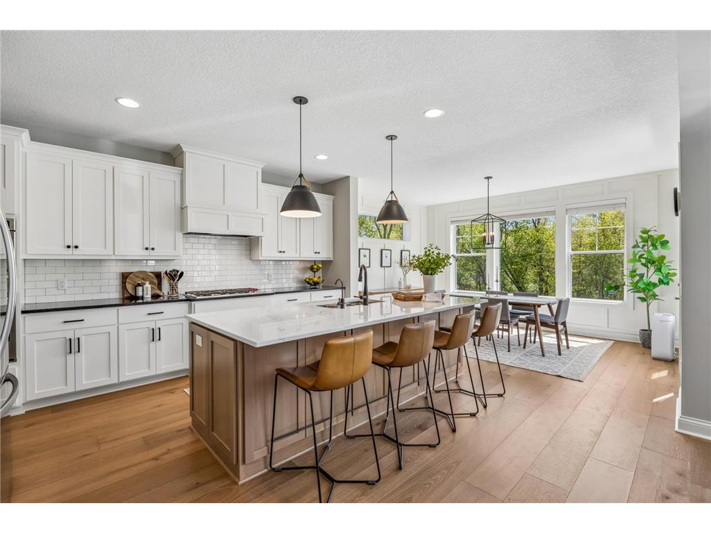 3933 Holasek Path Chaska MN 55318 7071654 image20