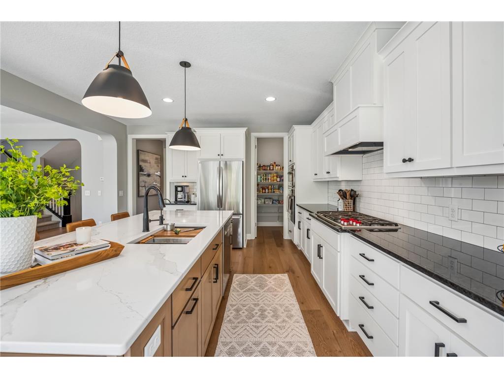 3933 Holasek Path Chaska MN 55318 7071654 image22
