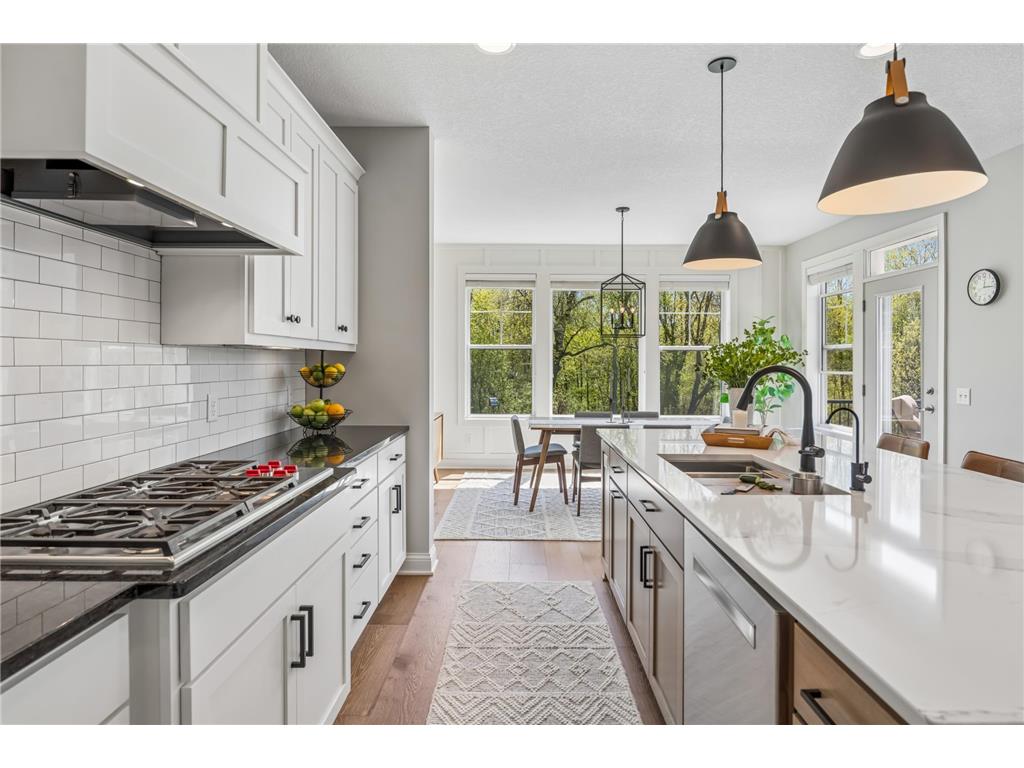 3933 Holasek Path Chaska MN 55318 7071654 image23