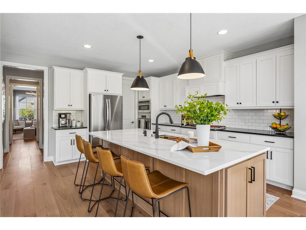 3933 Holasek Path Chaska MN 55318 7071654 image27