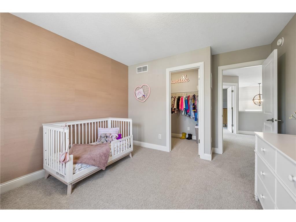 3933 Holasek Path Chaska MN 55318 7071654 image41