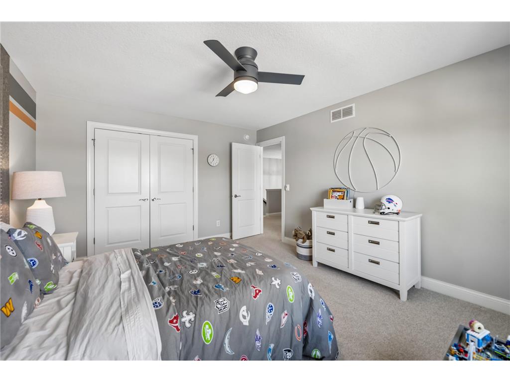 3933 Holasek Path Chaska MN 55318 7071654 image43