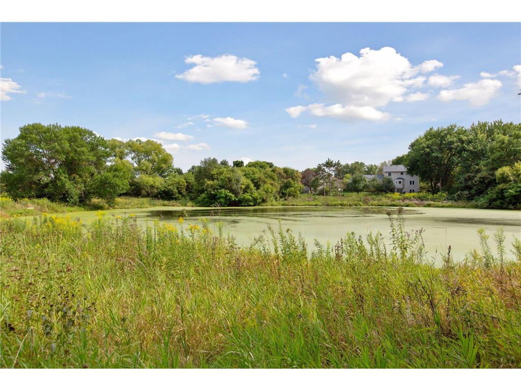 3936 Homestead Drive Woodbury MN 55125 6801263 image77