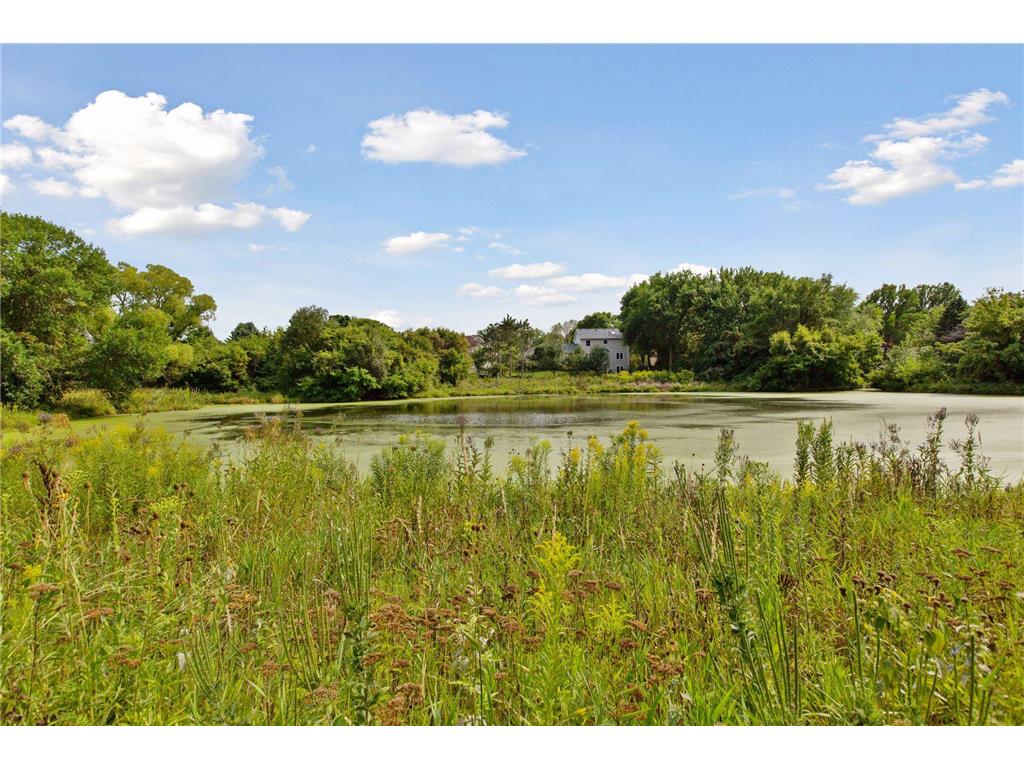 3936 Homestead Drive Woodbury MN 55125 6801263 image78