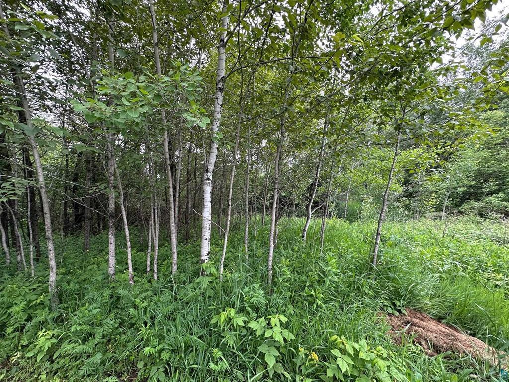 3938 E 5th Street Superior WI 54880 6747955 image1