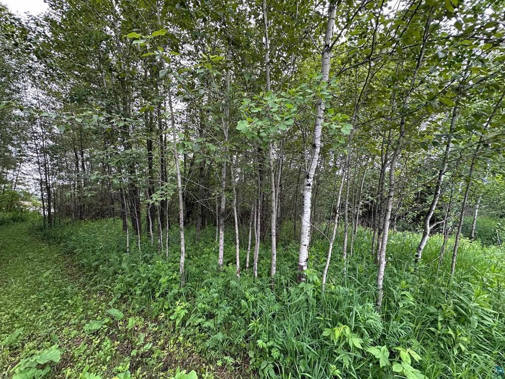 3938 E 5th Street Superior WI 54880 6747955 image3