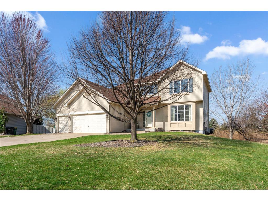 3941 94th Avenue N Brooklyn Park MN 55443 7056179 image1