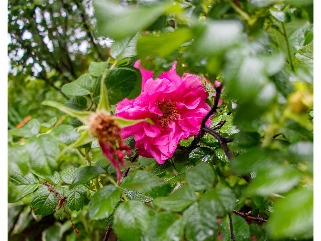 39437 County Road 3 Crosslake MN 56442 6771226 image38