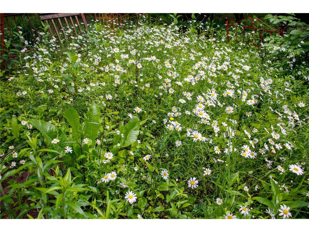 39437 County Road 3 Crosslake MN 56442 6771226 image39