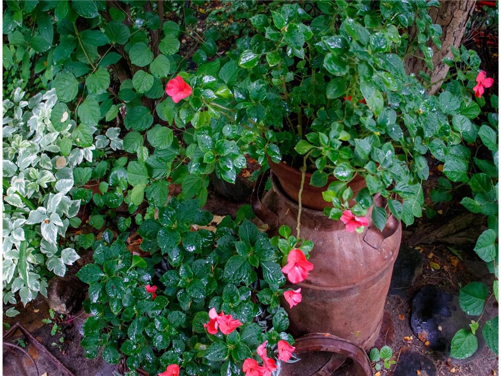 39437 County Road 3 Crosslake MN 56442 6771226 image41