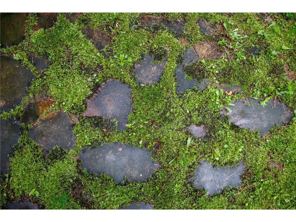 39437 County Road 3 Crosslake MN 56442 6771226 image42