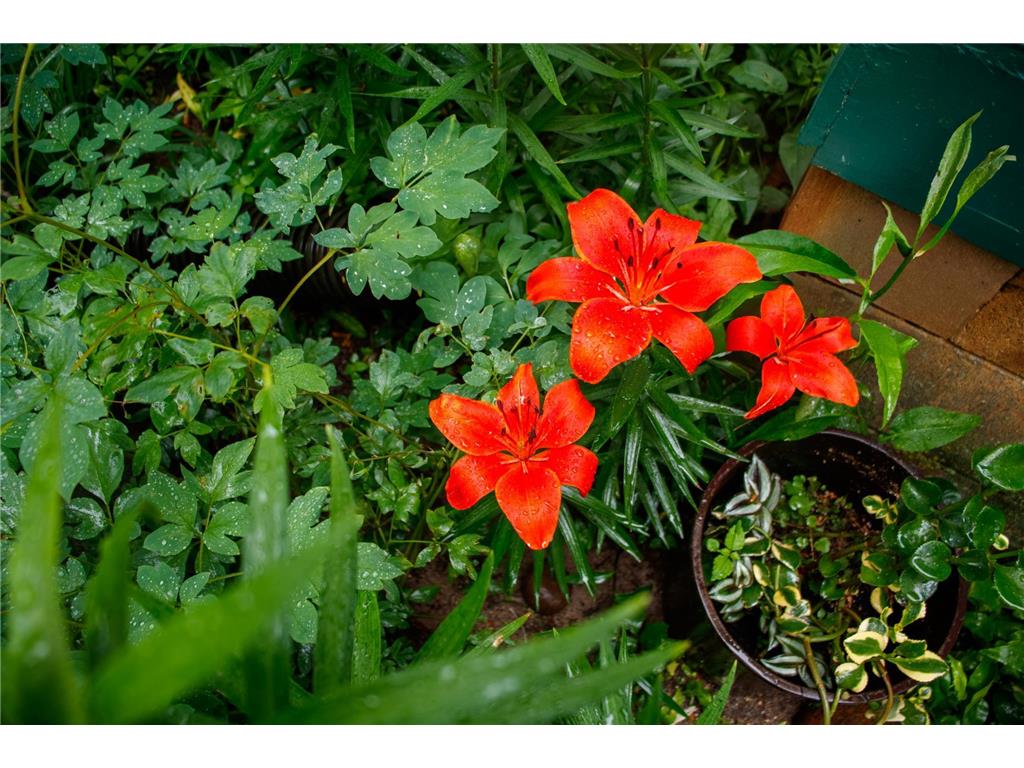 39437 County Road 3 Crosslake MN 56442 6771226 image54