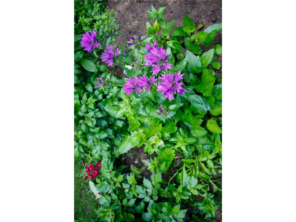 39437 County Road 3 Crosslake MN 56442 6771226 image55