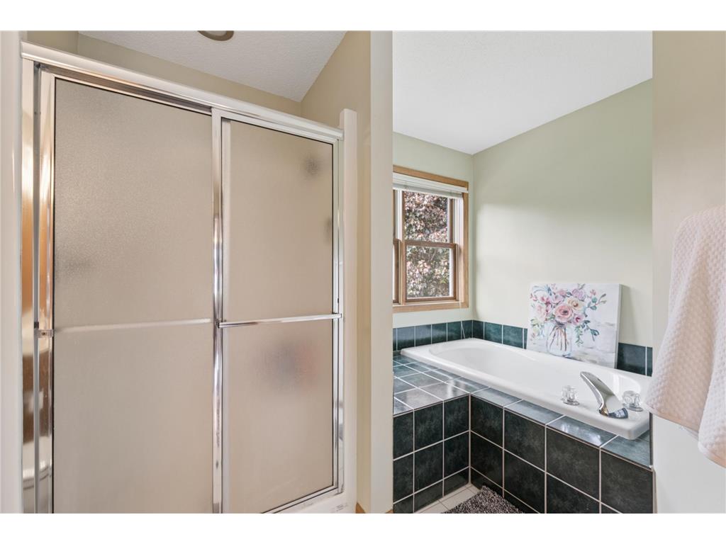 3946 Monticello Alcove Woodbury MN 55129 7075180 image15