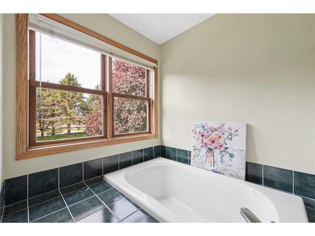3946 Monticello Alcove Woodbury MN 55129 7075180 image16