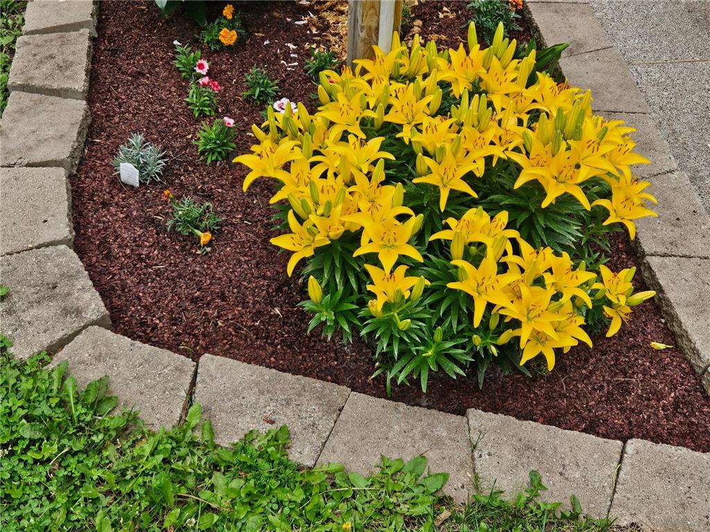 3947 Haines Road Hermantown MN 55811 6816676 image55