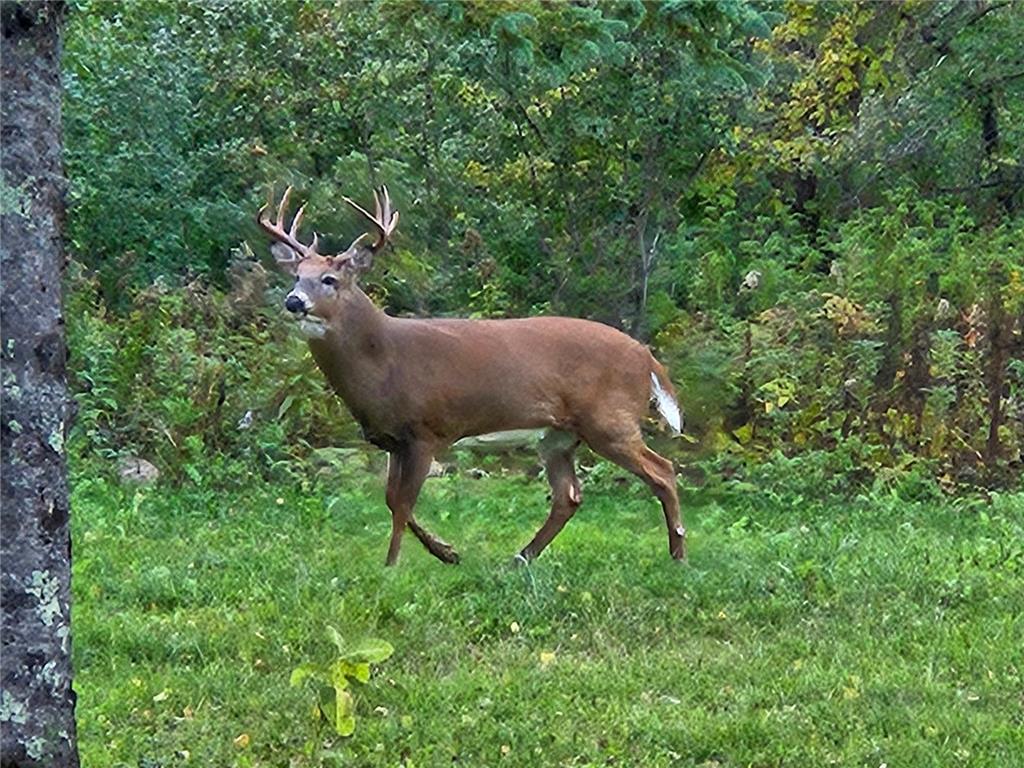 3947 Haines Road Hermantown MN 55811 6816676 image60