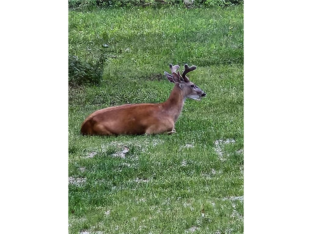 3947 Haines Road Hermantown MN 55811 6816676 image61