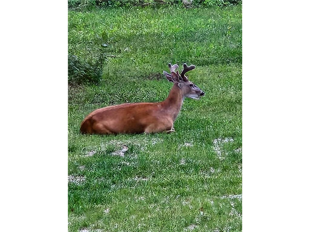 3947 Haines Road Hermantown MN 55811 6816676 image63