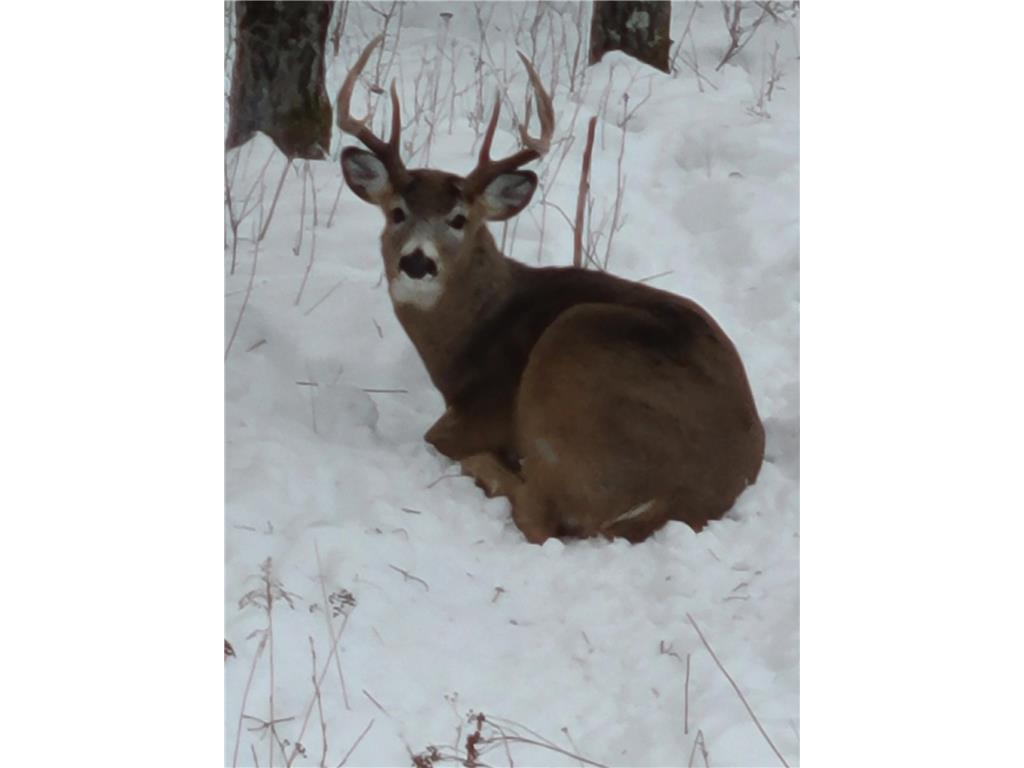 3947 Haines Road Hermantown MN 55811 6816676 image64