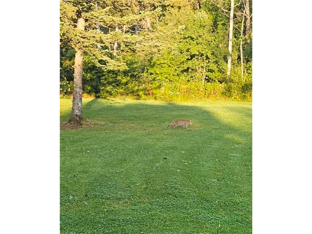 3947 Haines Road Hermantown MN 55811 6816676 image66