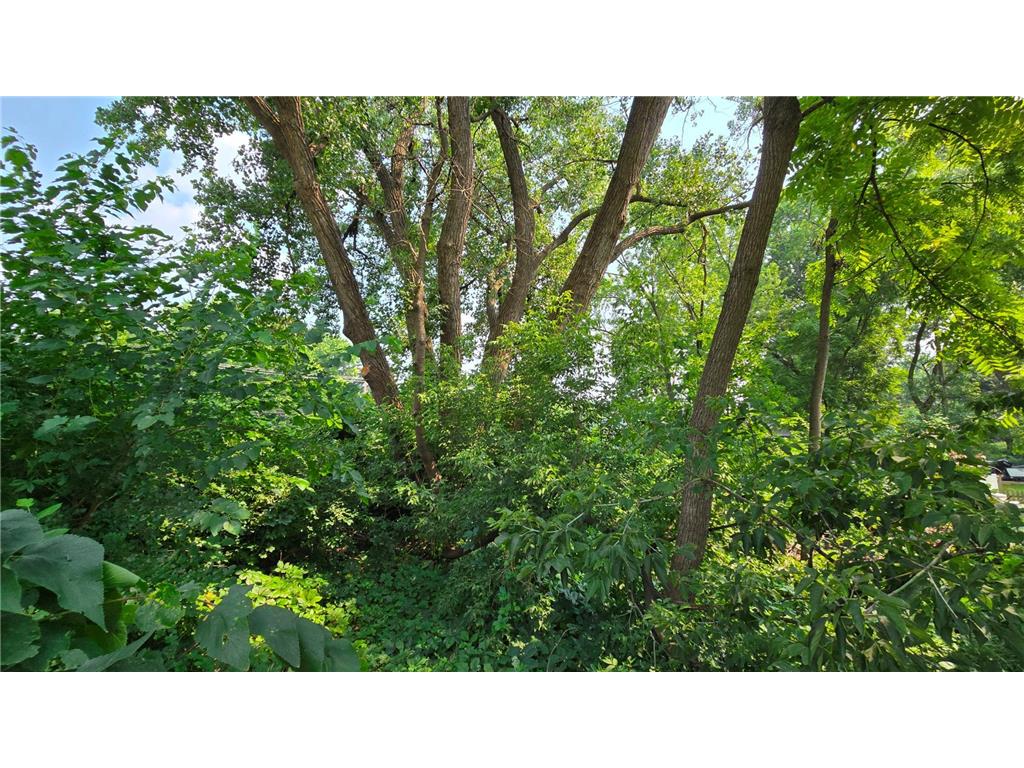 3949 Douglas Drive N Crystal MN 55422 7067719 image5
