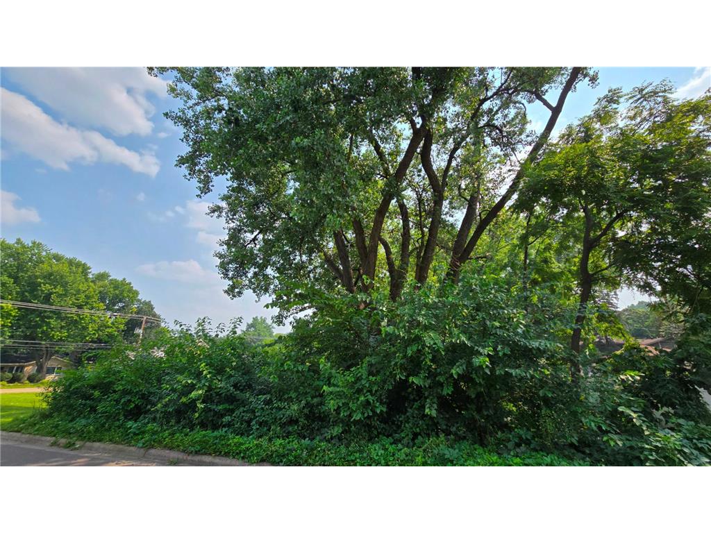 3949 Douglas Drive N Crystal MN 55422 7067719 image6