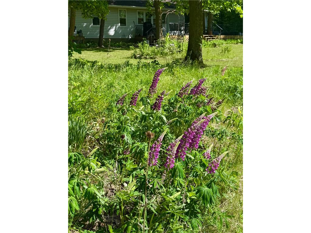 39511 460th Avenue Otto Twp MN 56573 - Ottertail River 7069348 image2