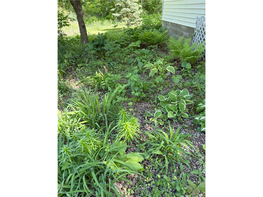 39511 460th Avenue Otto Twp MN 56573 - Ottertail River 7069348 image3