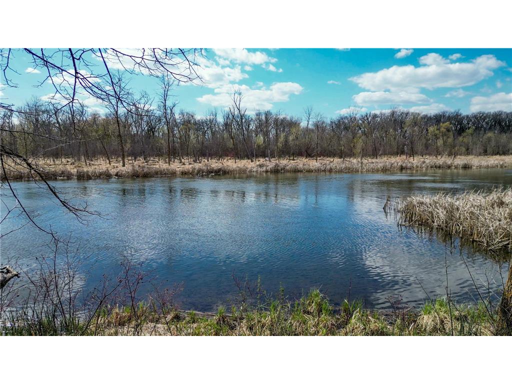 39511 460th Avenue Otto Twp MN 56573 - Ottertail River 7069348 image45