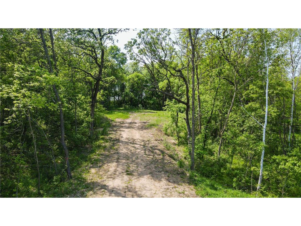 3956 Olson Road NW Bradford Twp MN 55008 6356729 image1