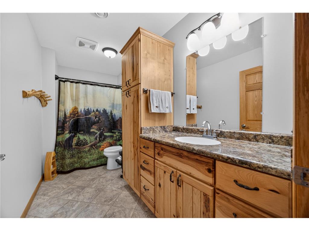 39568 569th Street Zumbro Falls MN 55991 7067205 image17