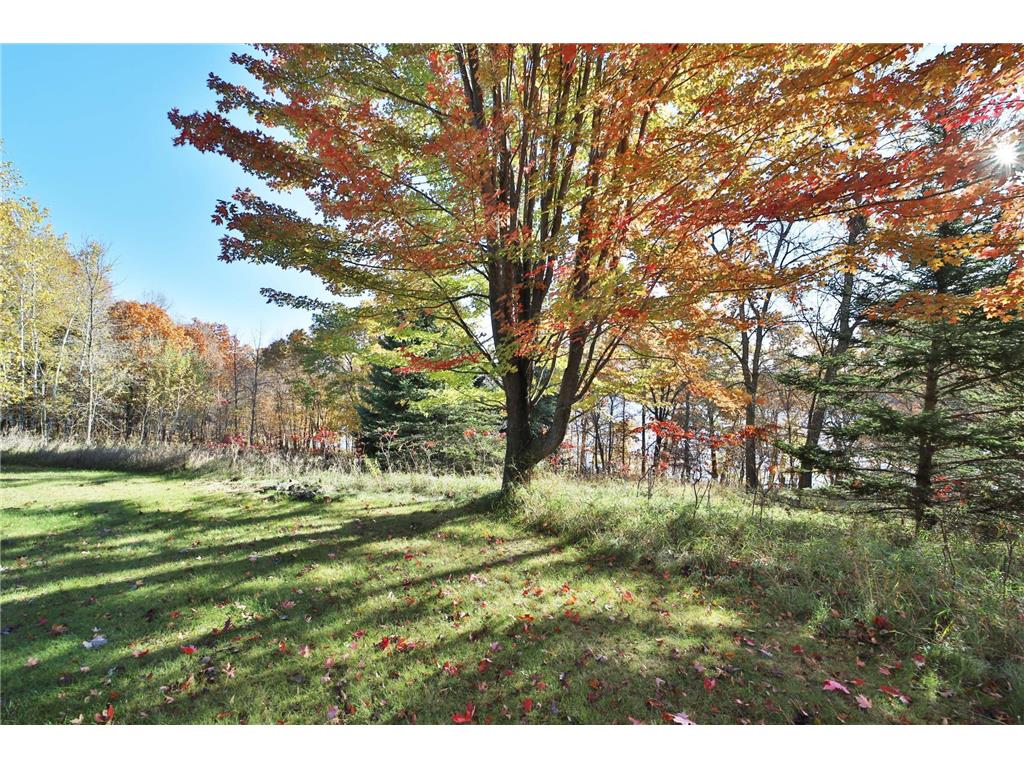 39604 Outing Court Browerville MN 56438 - Pine Island 7034296 image75